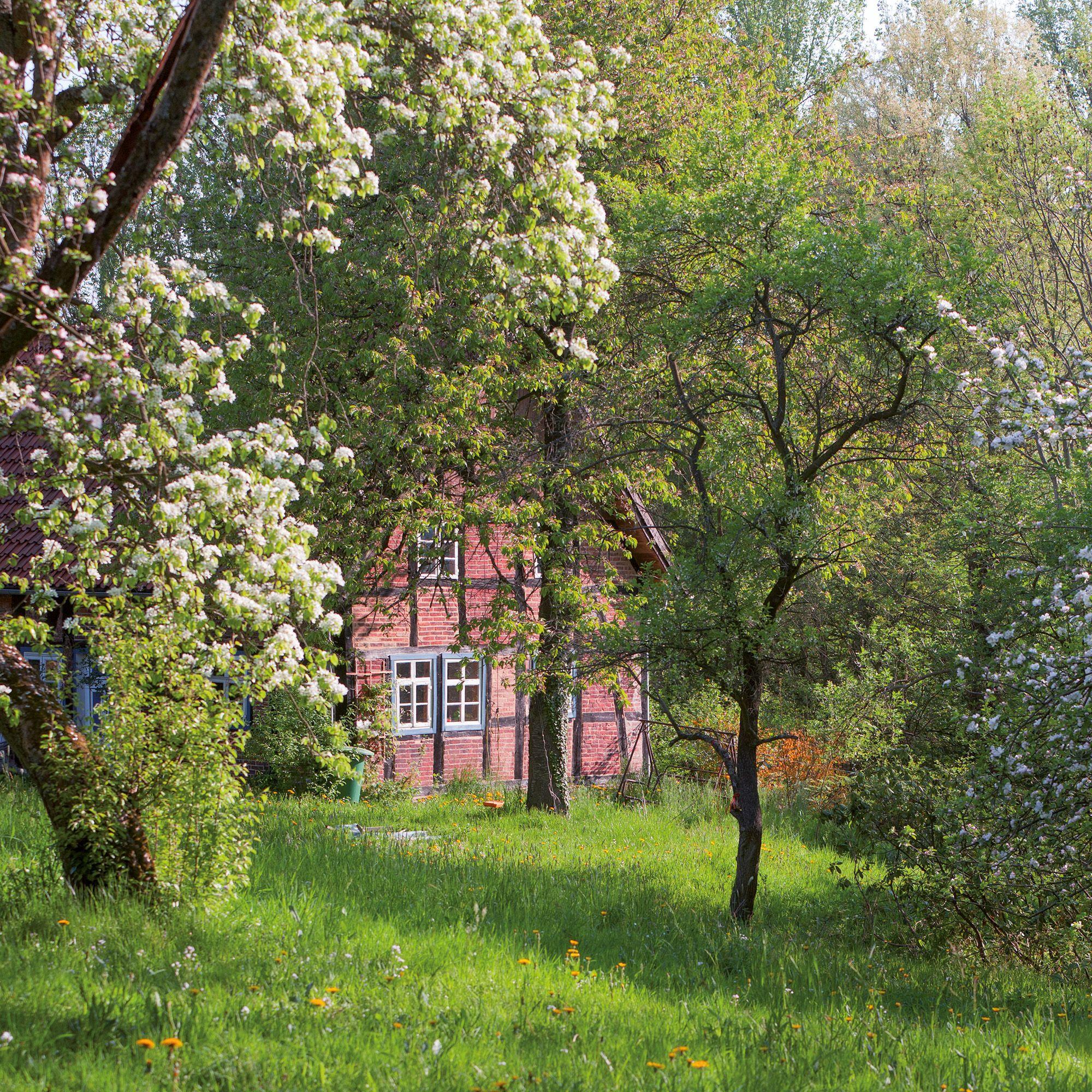 Beispielinhalt (Bild) Bauerngarten / Cottage Garden 2027