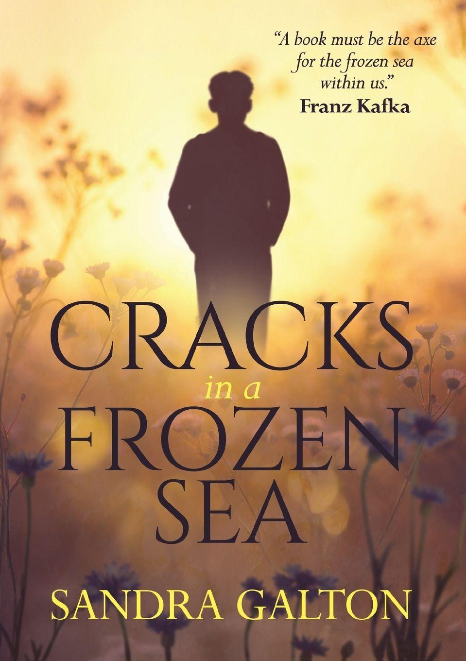 Vorderes Coverbild Cracks in a Frozen Sea