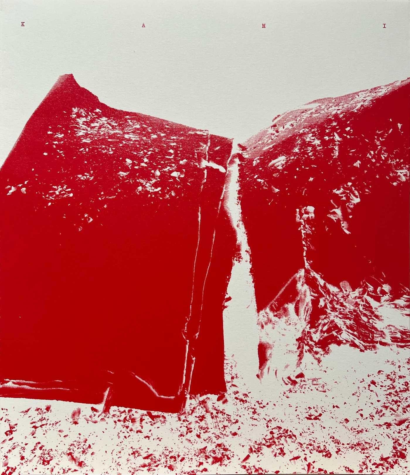 Vorderes Coverbild Kami