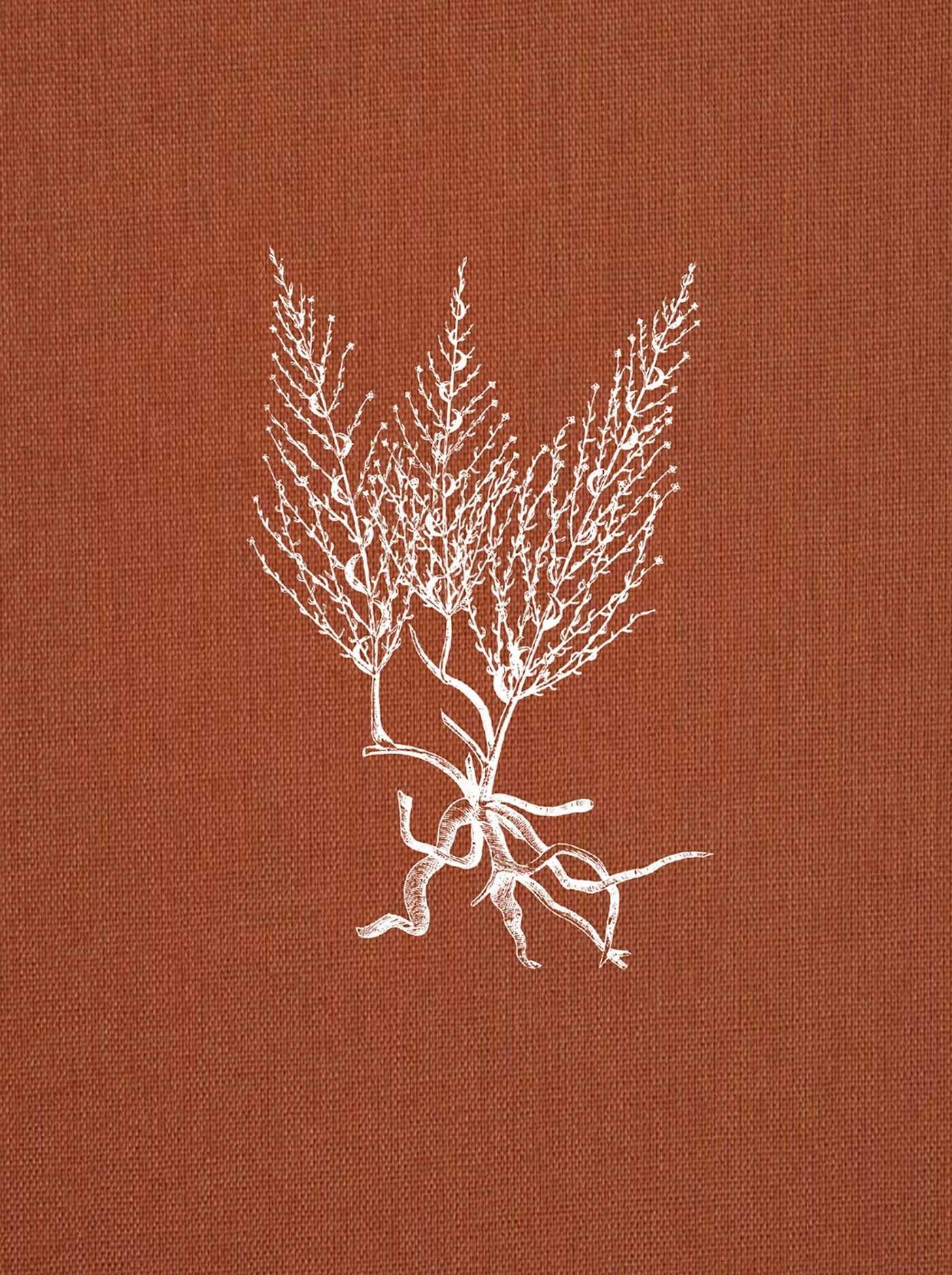 Vorderes Coverbild Brigantinas