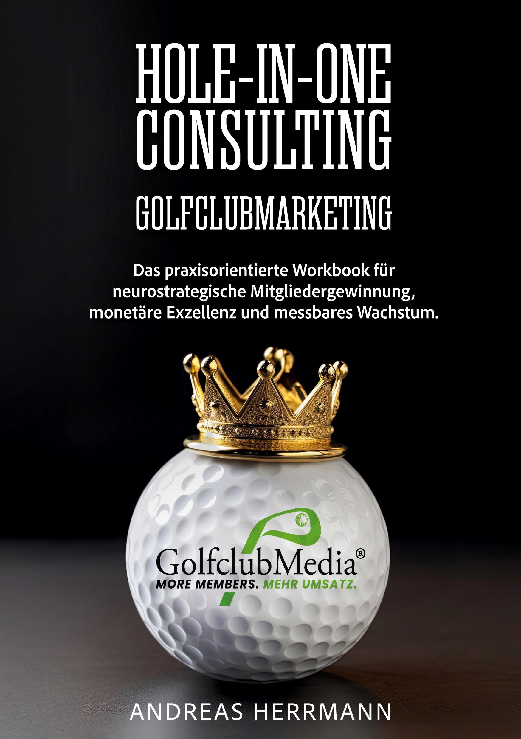 Vorderes Coverbild Hole-in-One Consulting