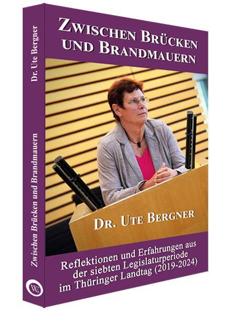 Vorderes Coverbild Zwischen Brücken und Brandmauern