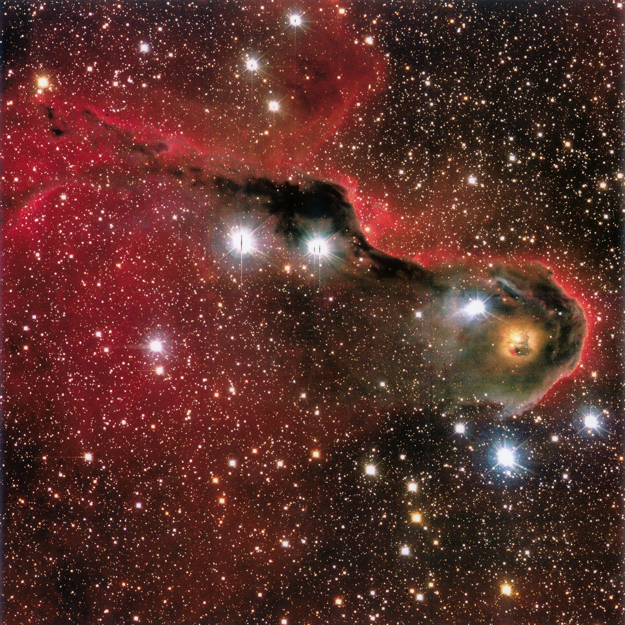 Beispielinhalt (Bild) Where Stars are Born 2027