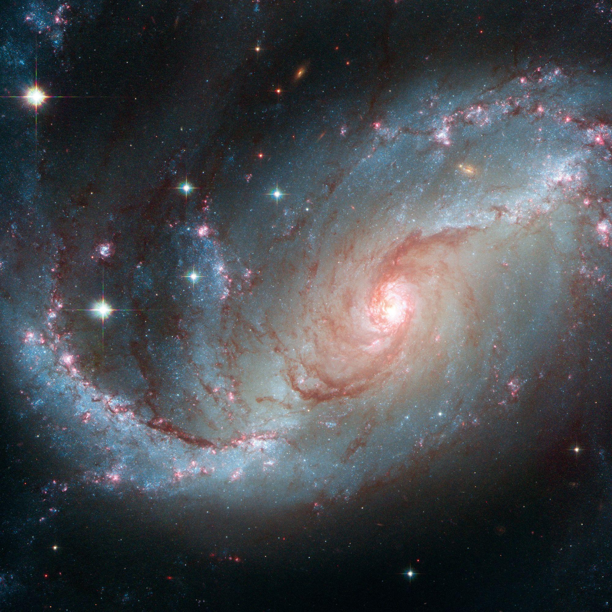 Beispielinhalt (Bild) Where Stars are Born 2027