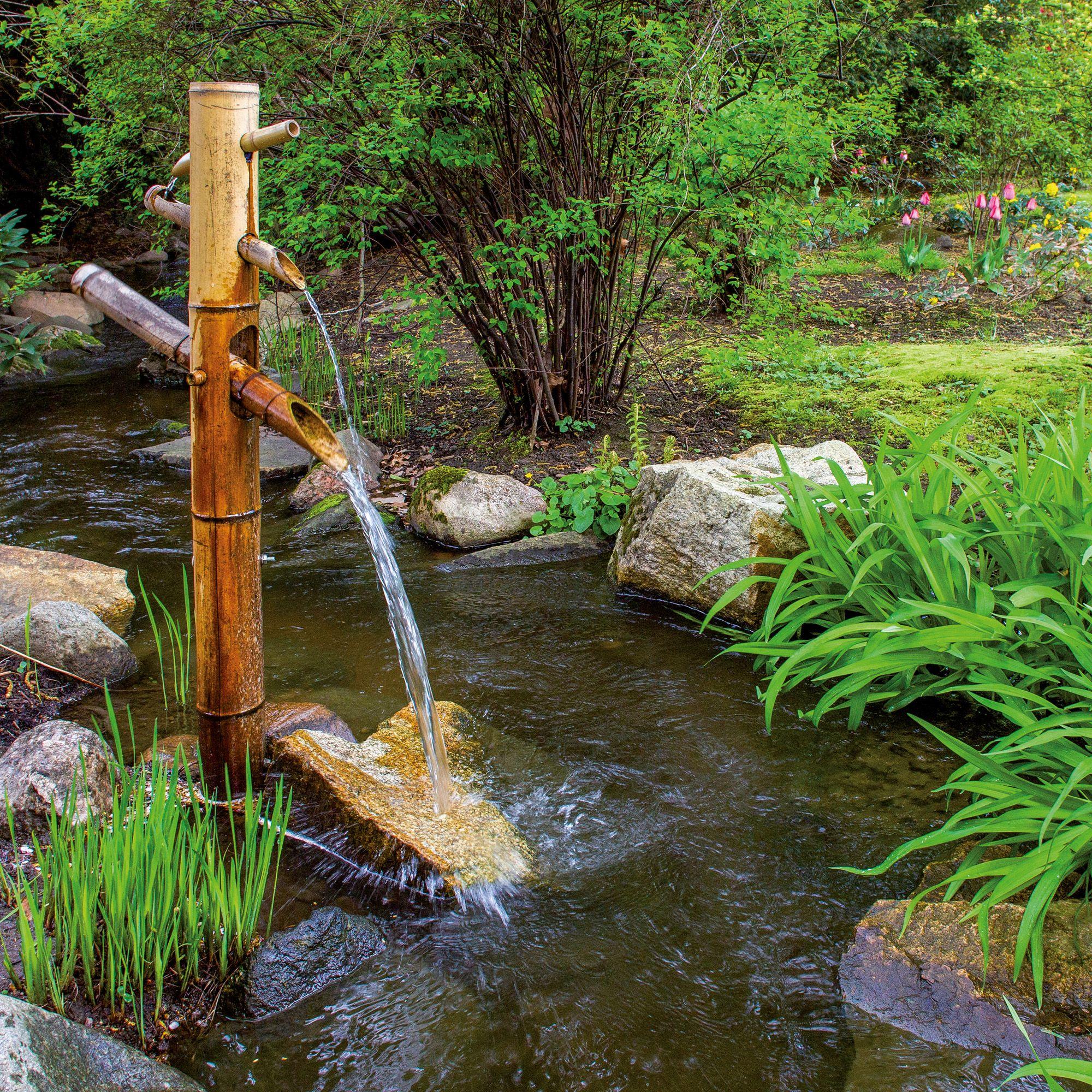 Beispielinhalt (Bild) Japanese Garden 2027