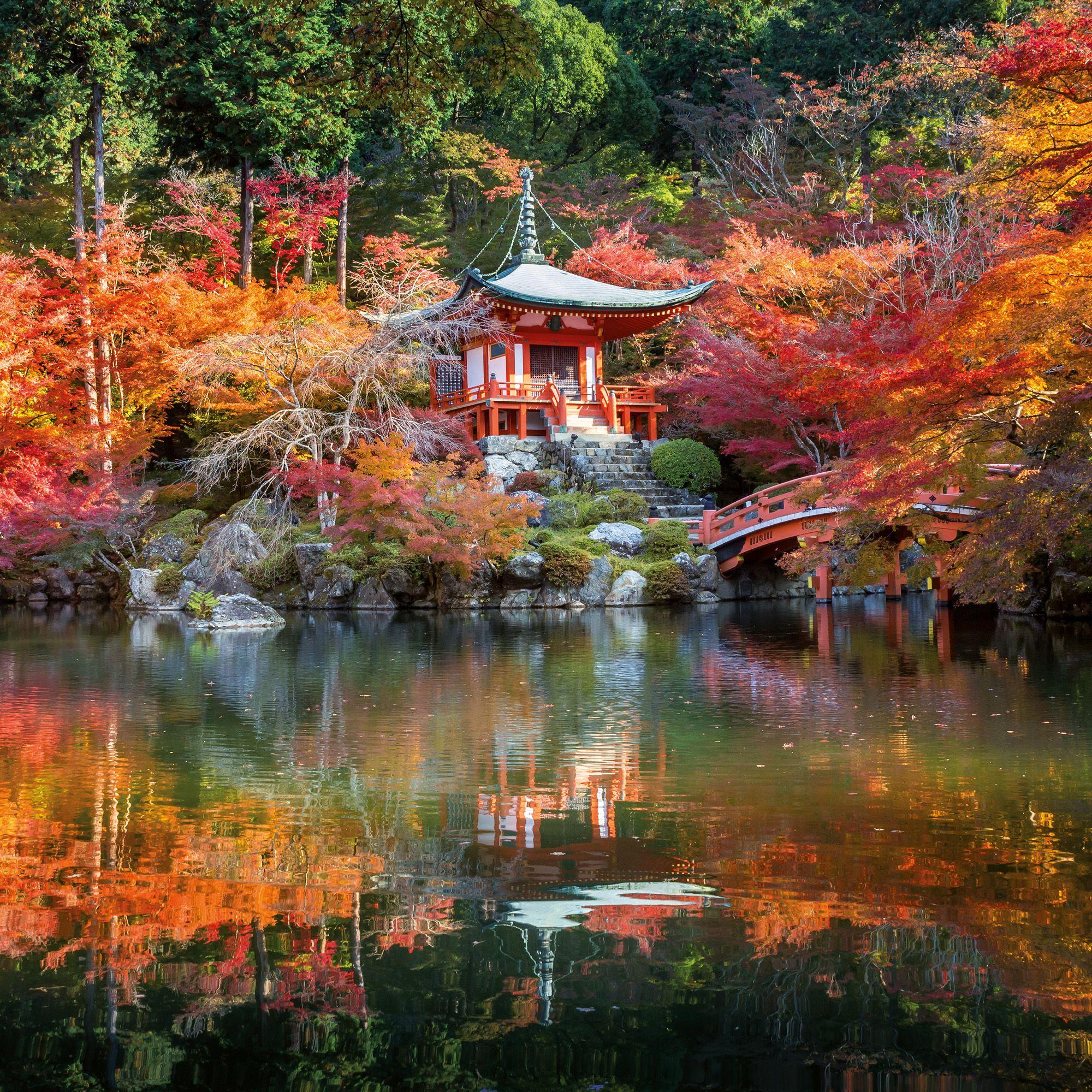 Beispielinhalt (Bild) Japanese Garden 2027