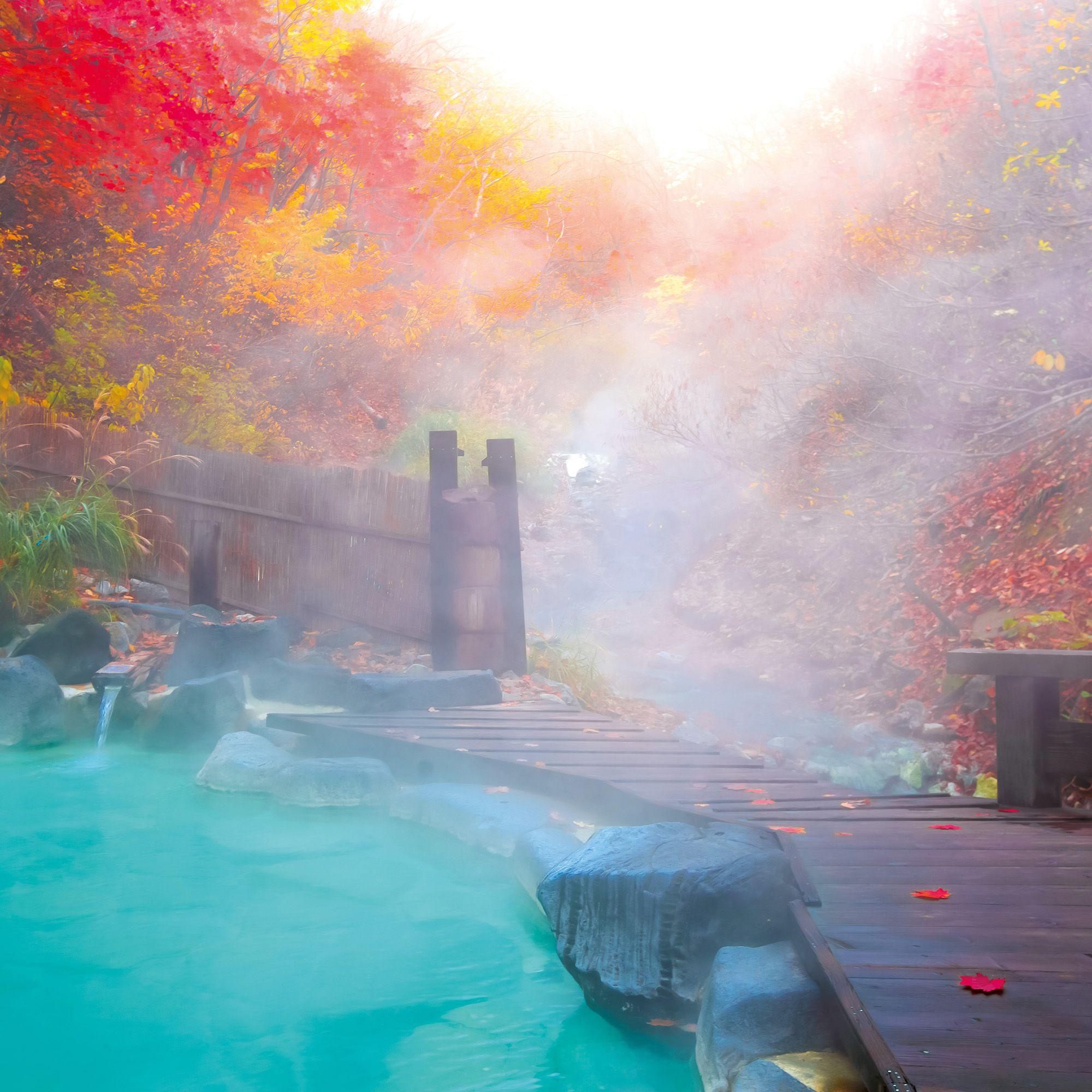 Beispielinhalt (Bild) Japanese Garden 2027