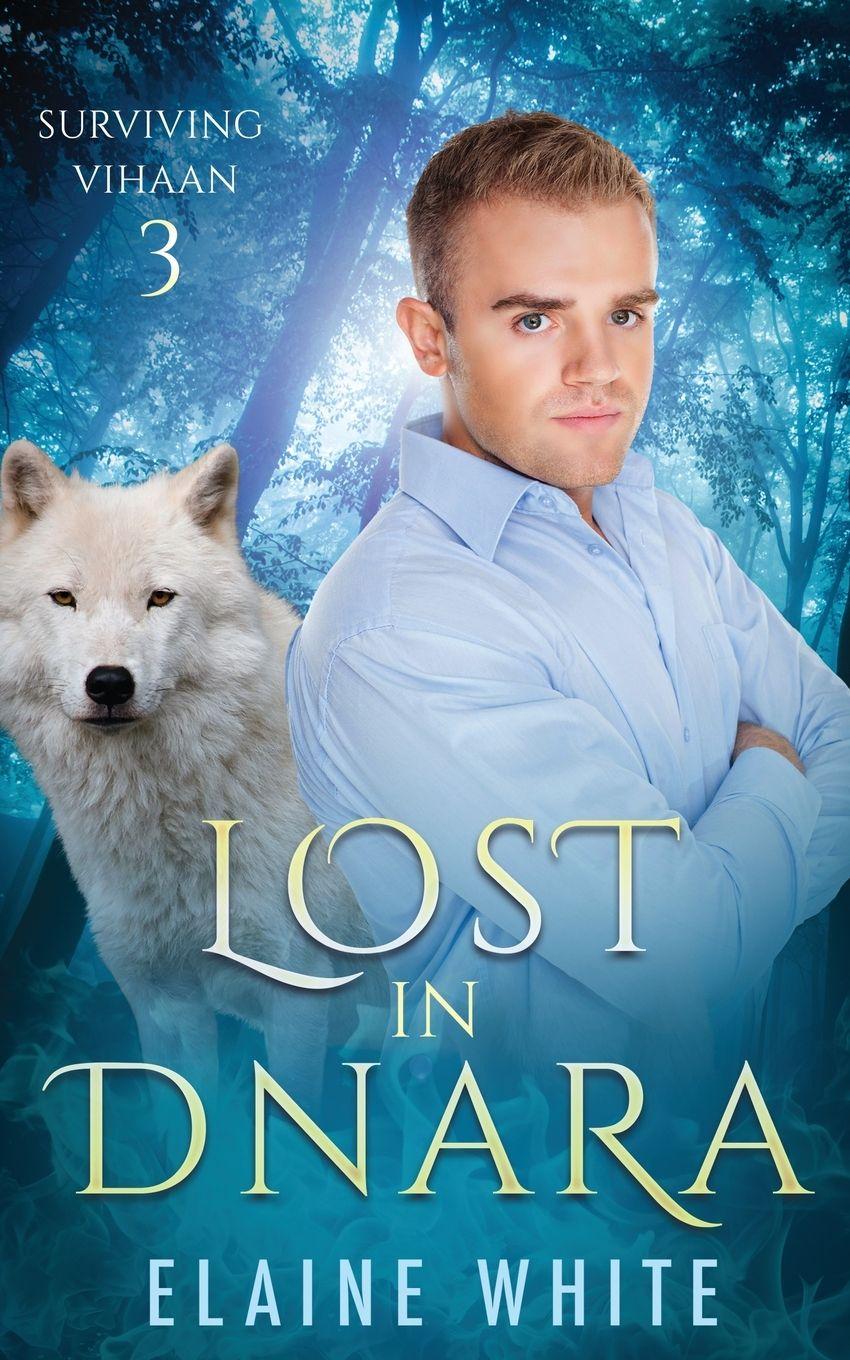Vorderes Coverbild Lost in Dnara