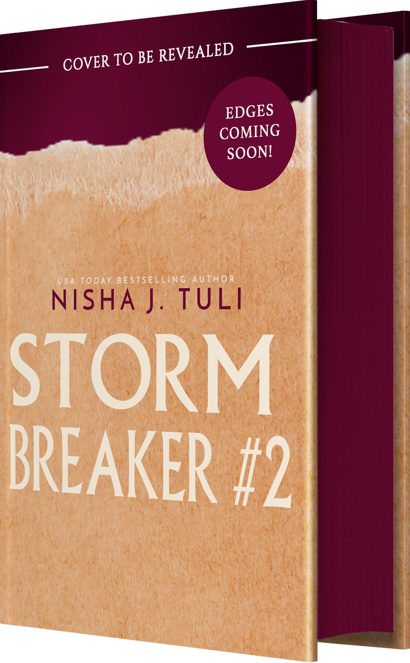 Vorderes Coverbild Storm Breaker #2