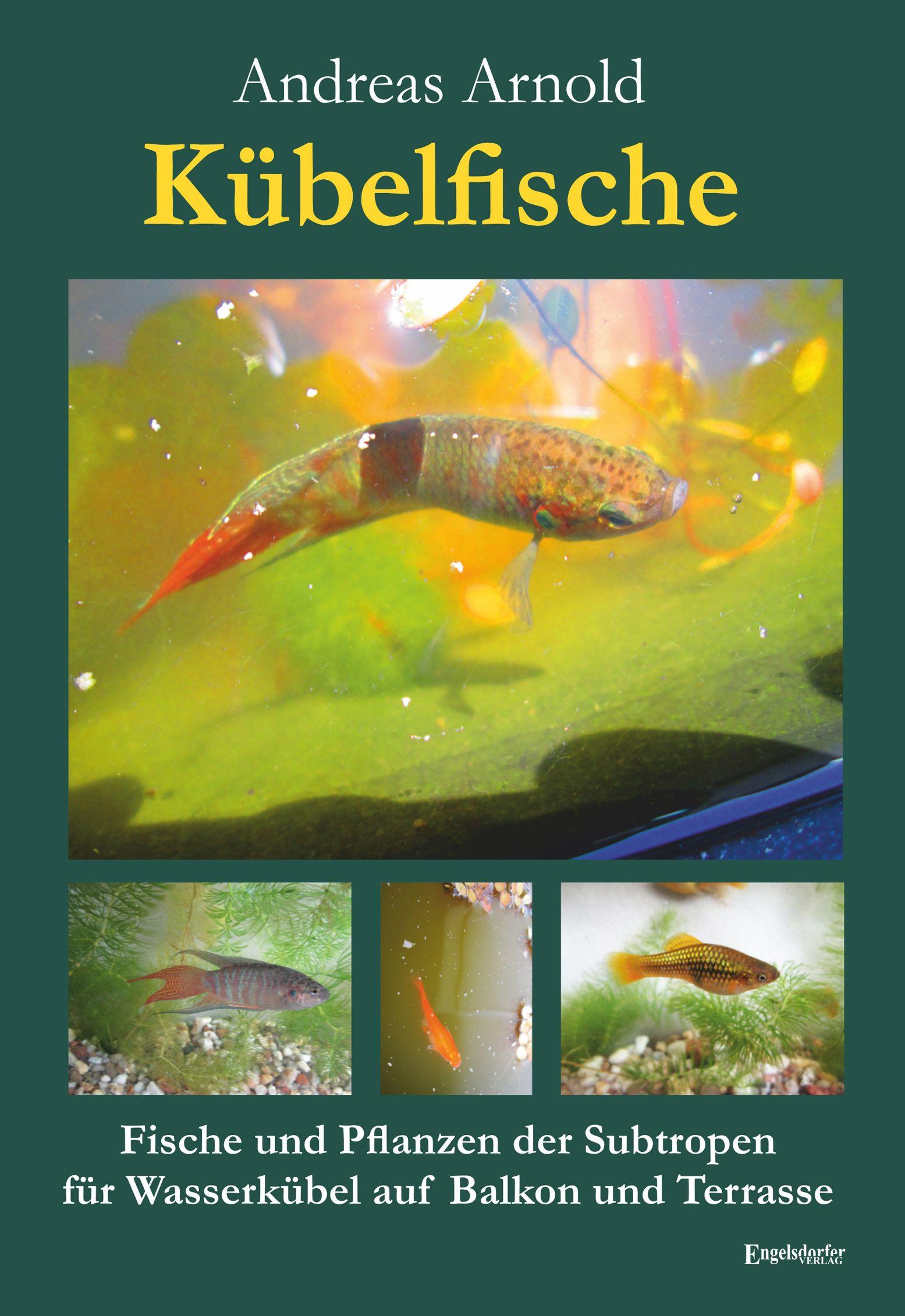 Vorderes Coverbild Kübelfische