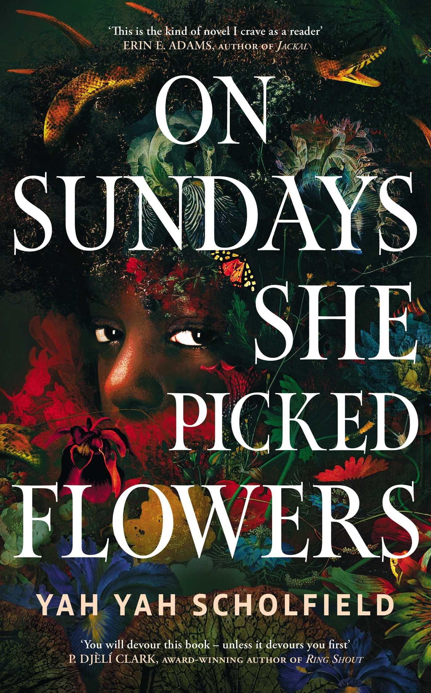 Vorderes Coverbild On Sundays She Picked Flowers