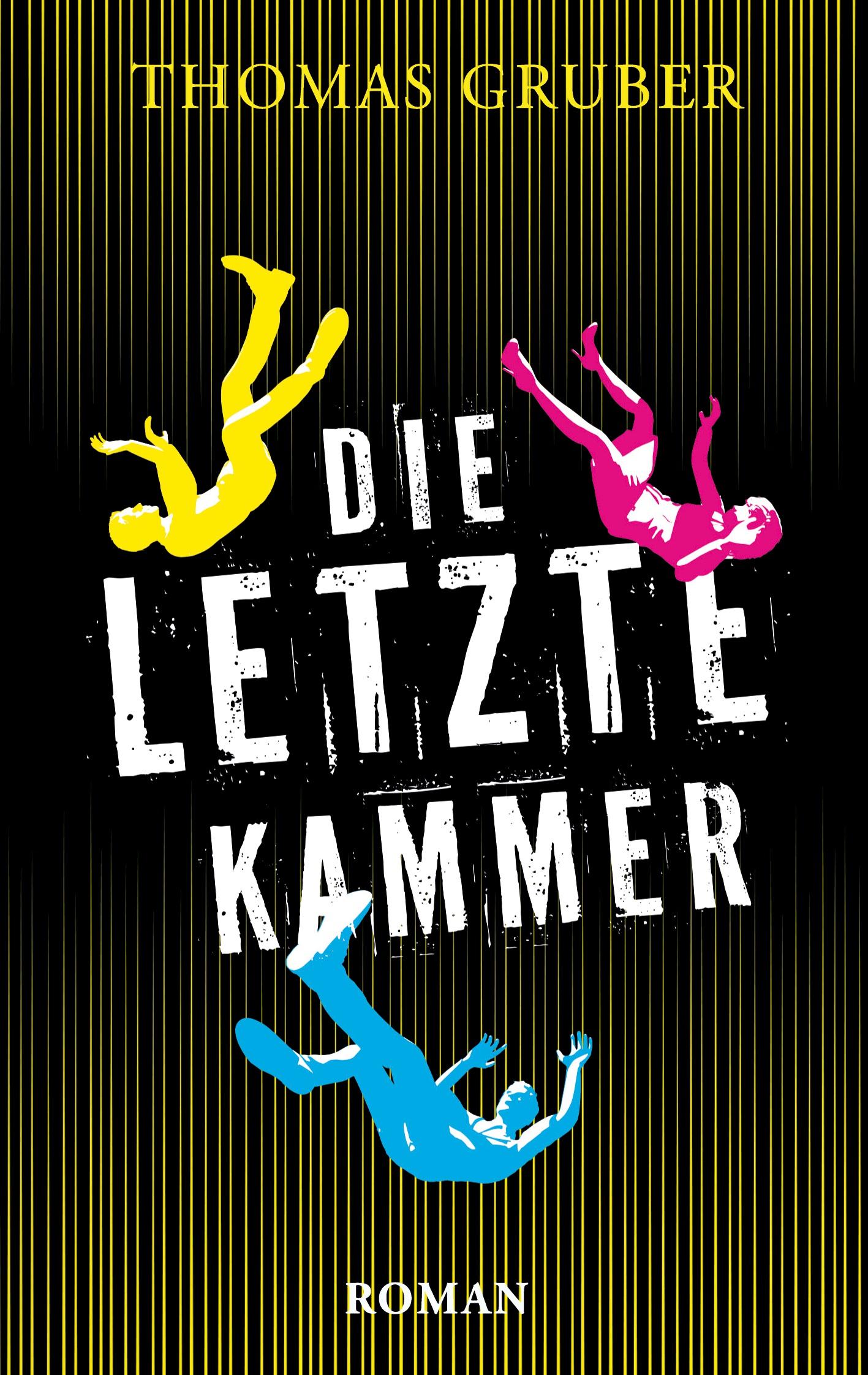 Vorderes Coverbild Die letzte Kammer