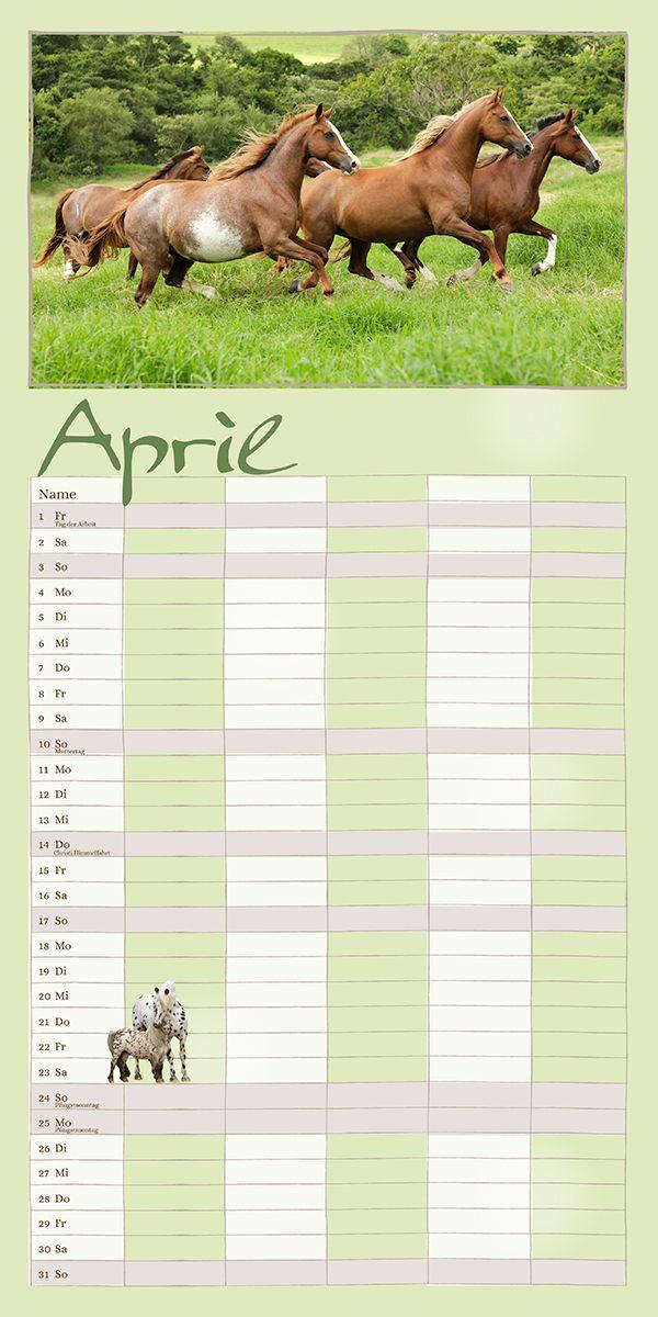 Beispielinhalt (Bild) Familienplaner Pferderdeglück 2027