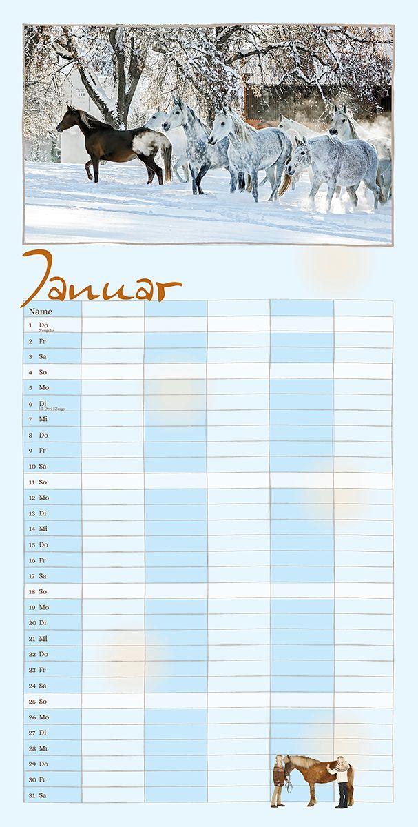 Beispielinhalt (Bild) Familienplaner Pferderdeglück 2027
