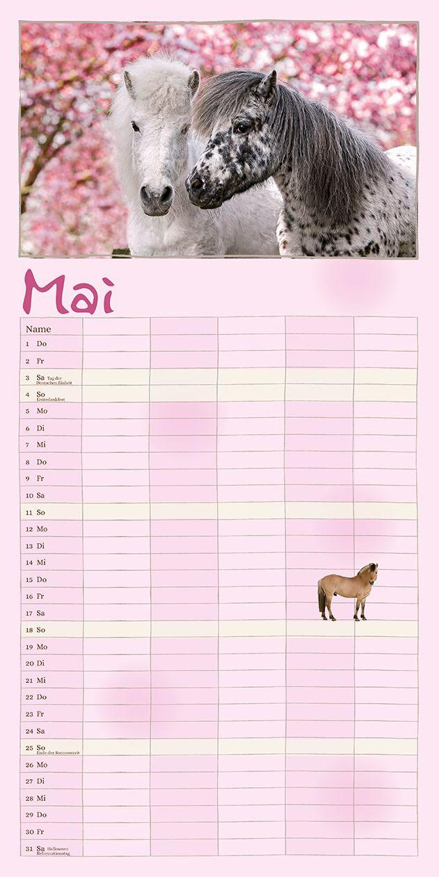Beispielinhalt (Bild) Familienplaner Pferderdeglück 2027