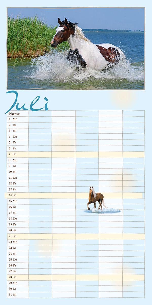 Beispielinhalt (Bild) Familienplaner Pferderdeglück 2027