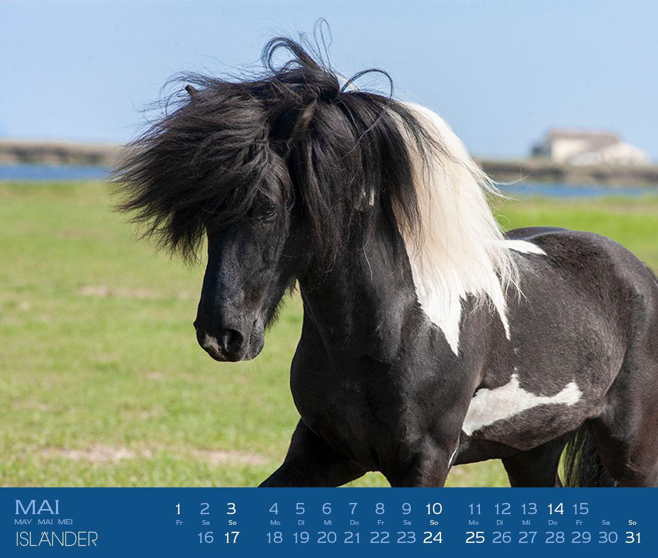 Beispielinhalt (Bild) Isländer 2027