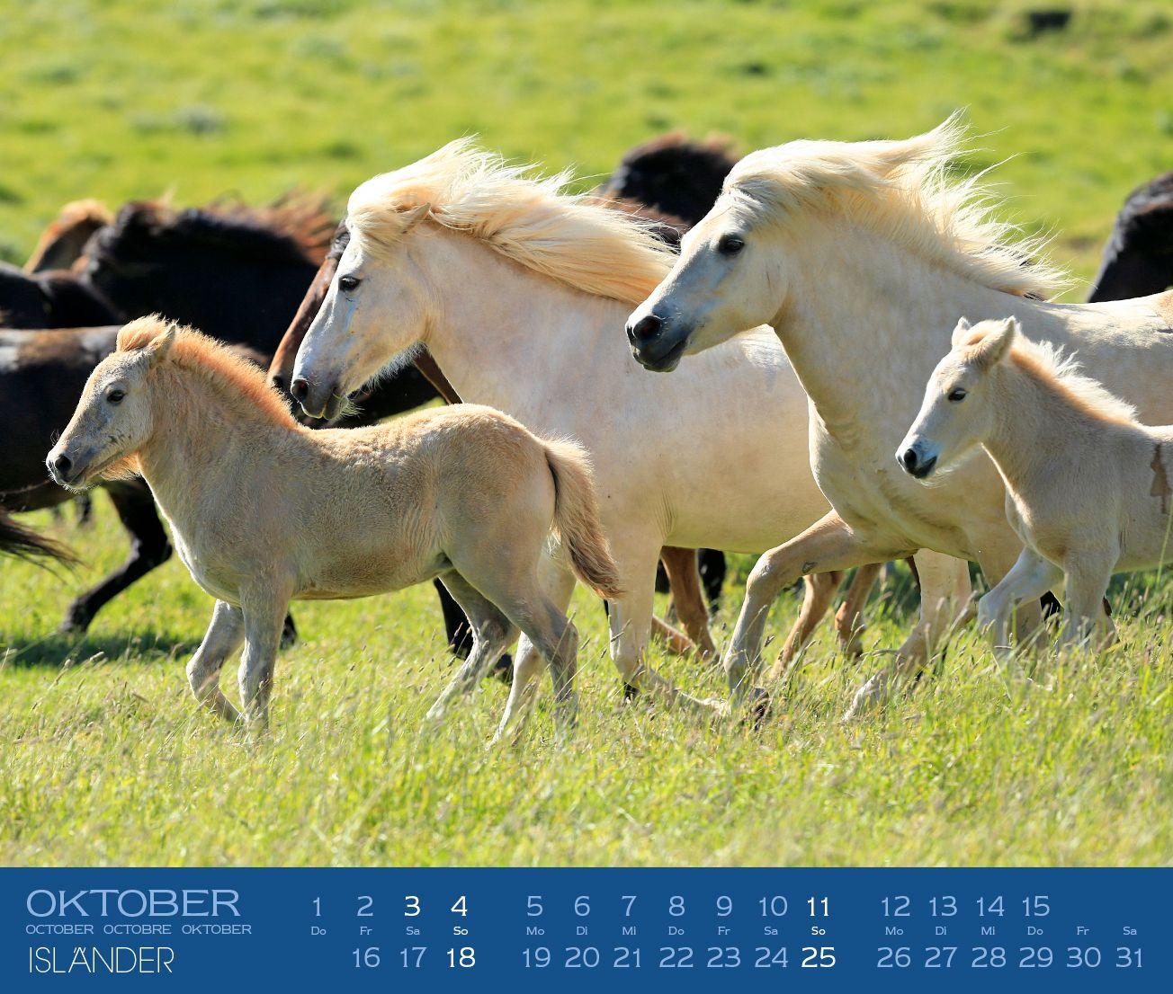 Beispielinhalt (Bild) Isländer 2027