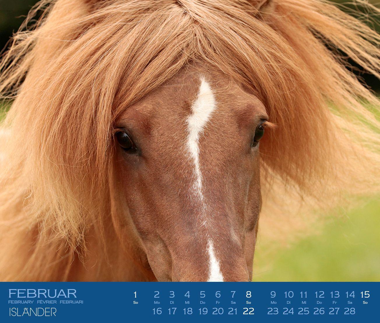 Beispielinhalt (Bild) Isländer 2027