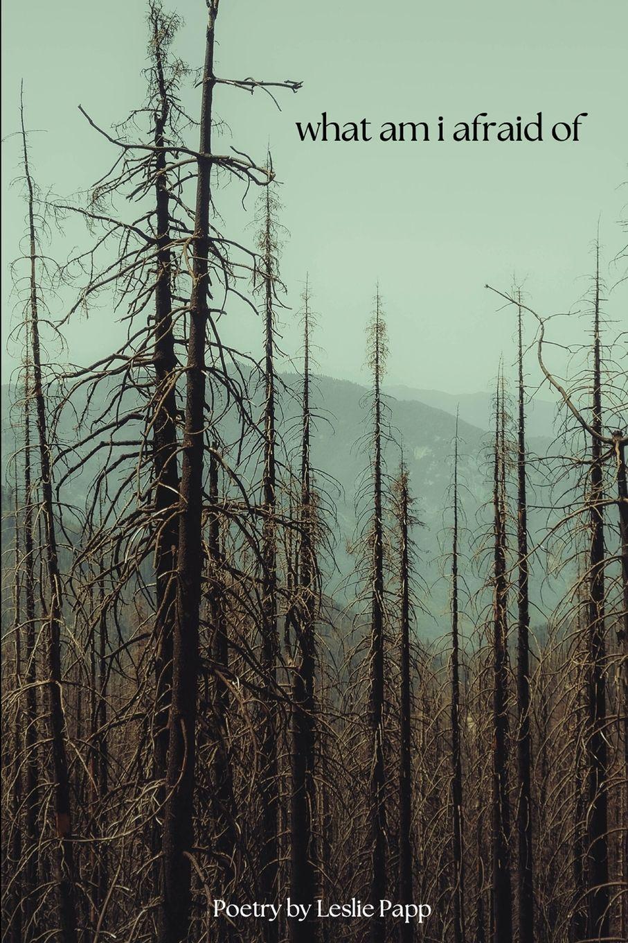 Vorderes Coverbild what am i afraid of