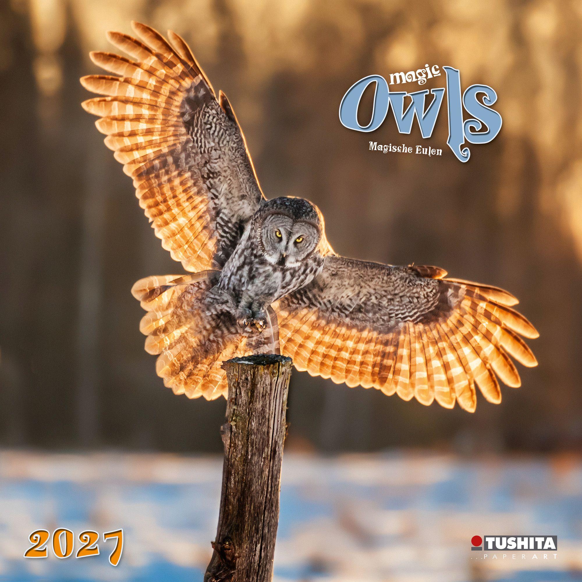 Vorderes Coverbild Magic Owls 2027