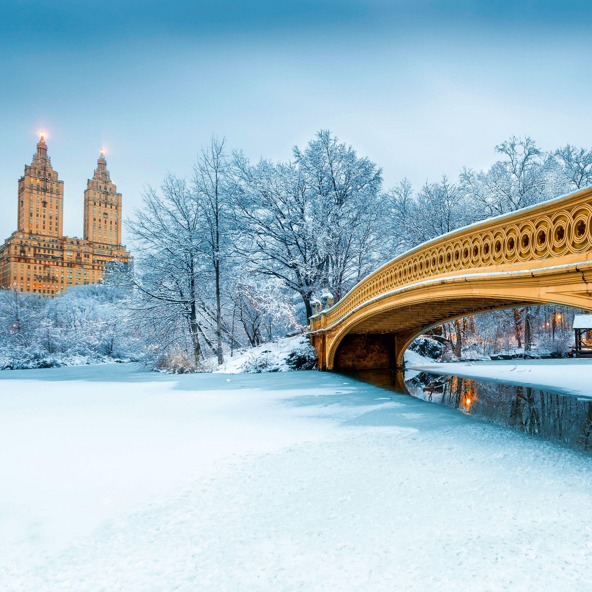 Beispielinhalt (Bild) New York 2027