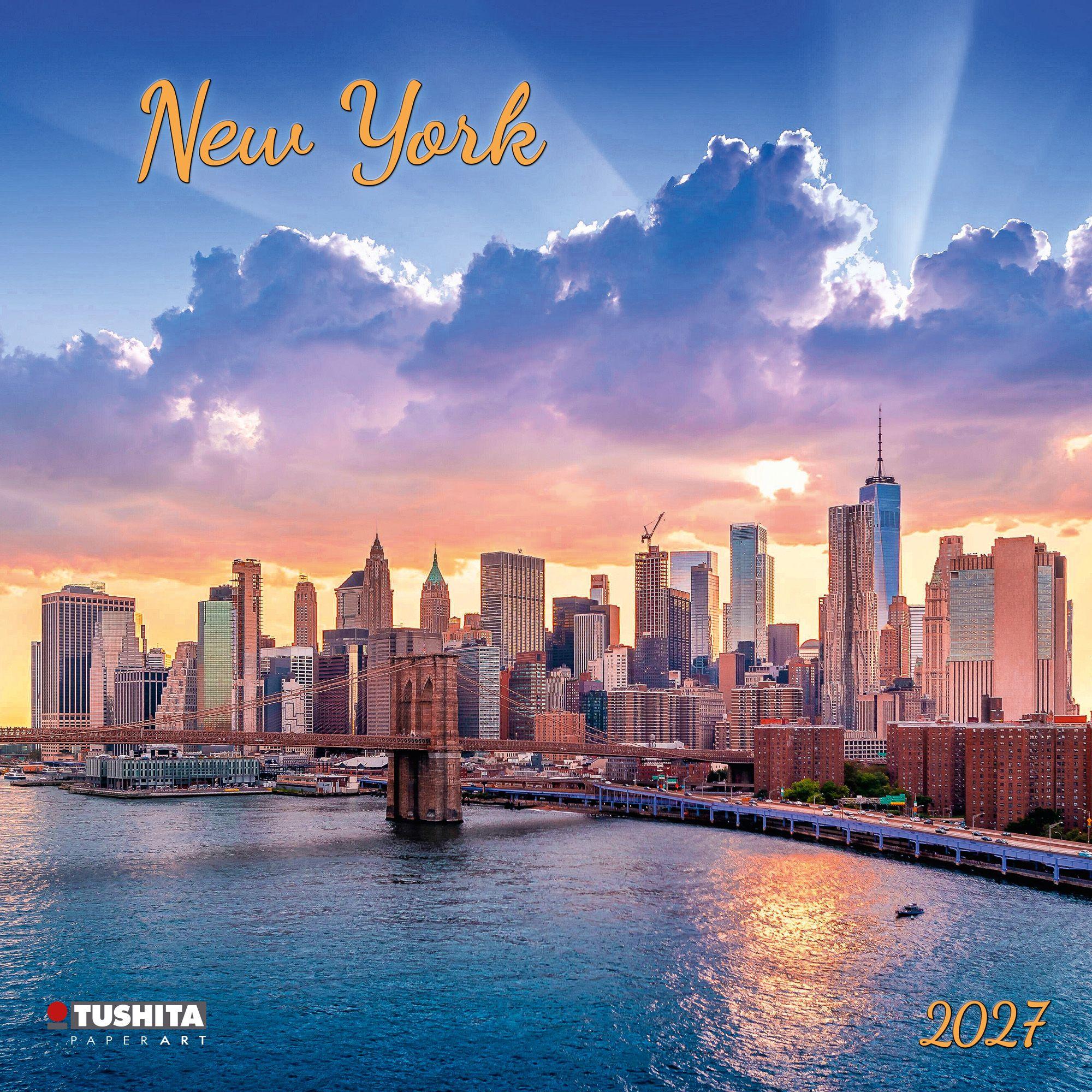 Vorderes Coverbild New York 2027