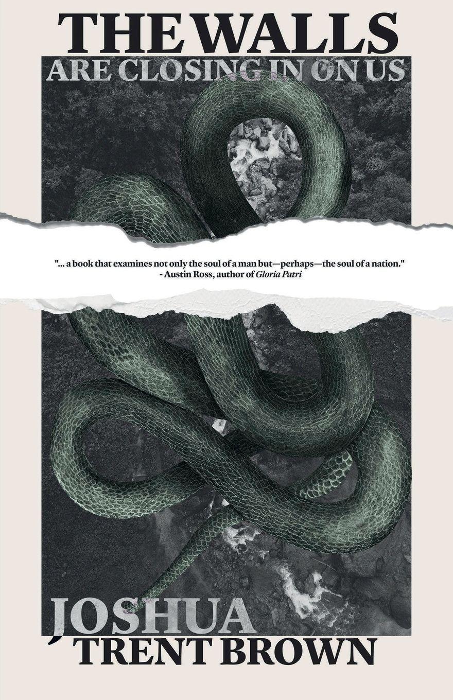 Vorderes Coverbild The Walls Are Closing In On Us