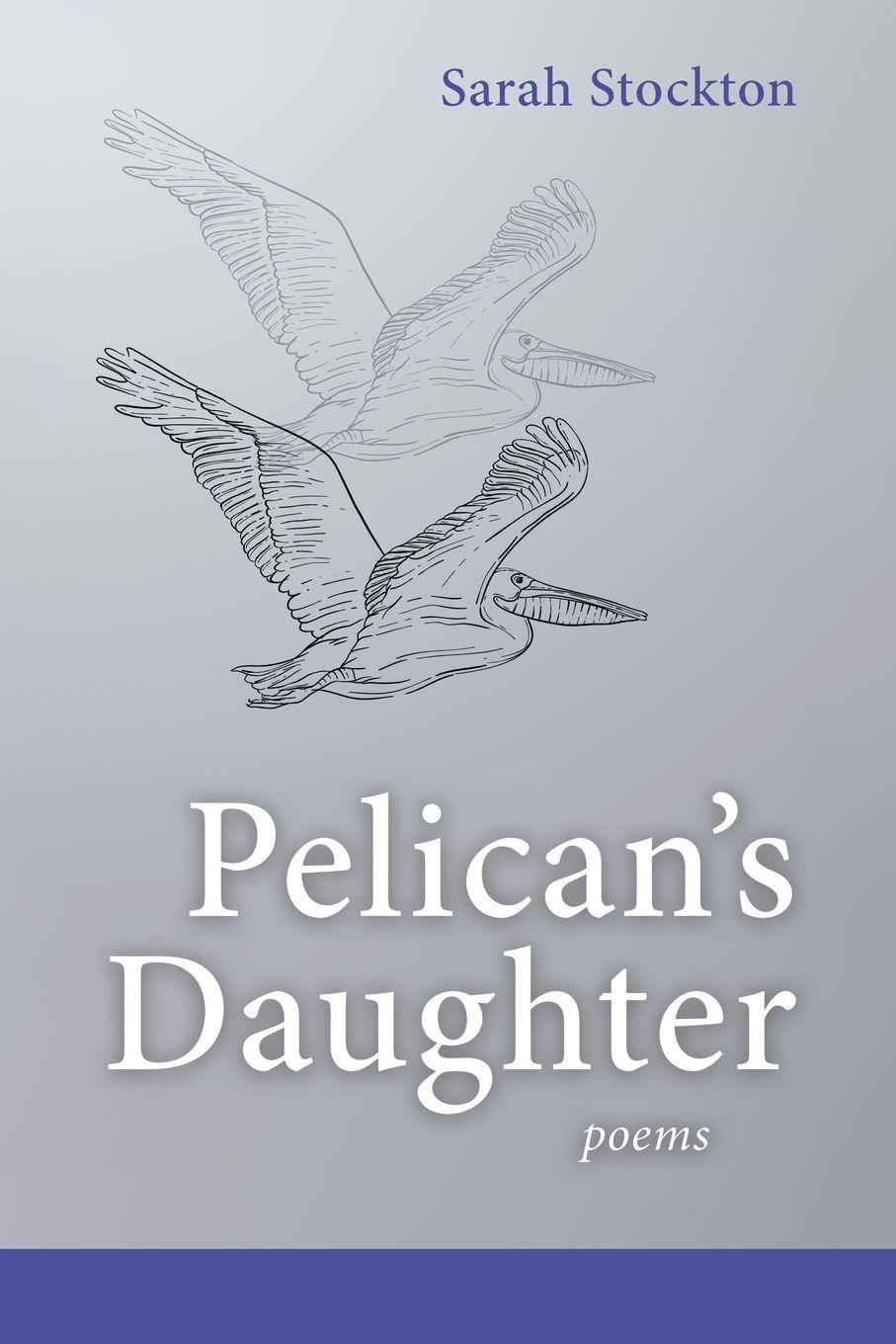 Vorderes Coverbild Pelican's Daughter