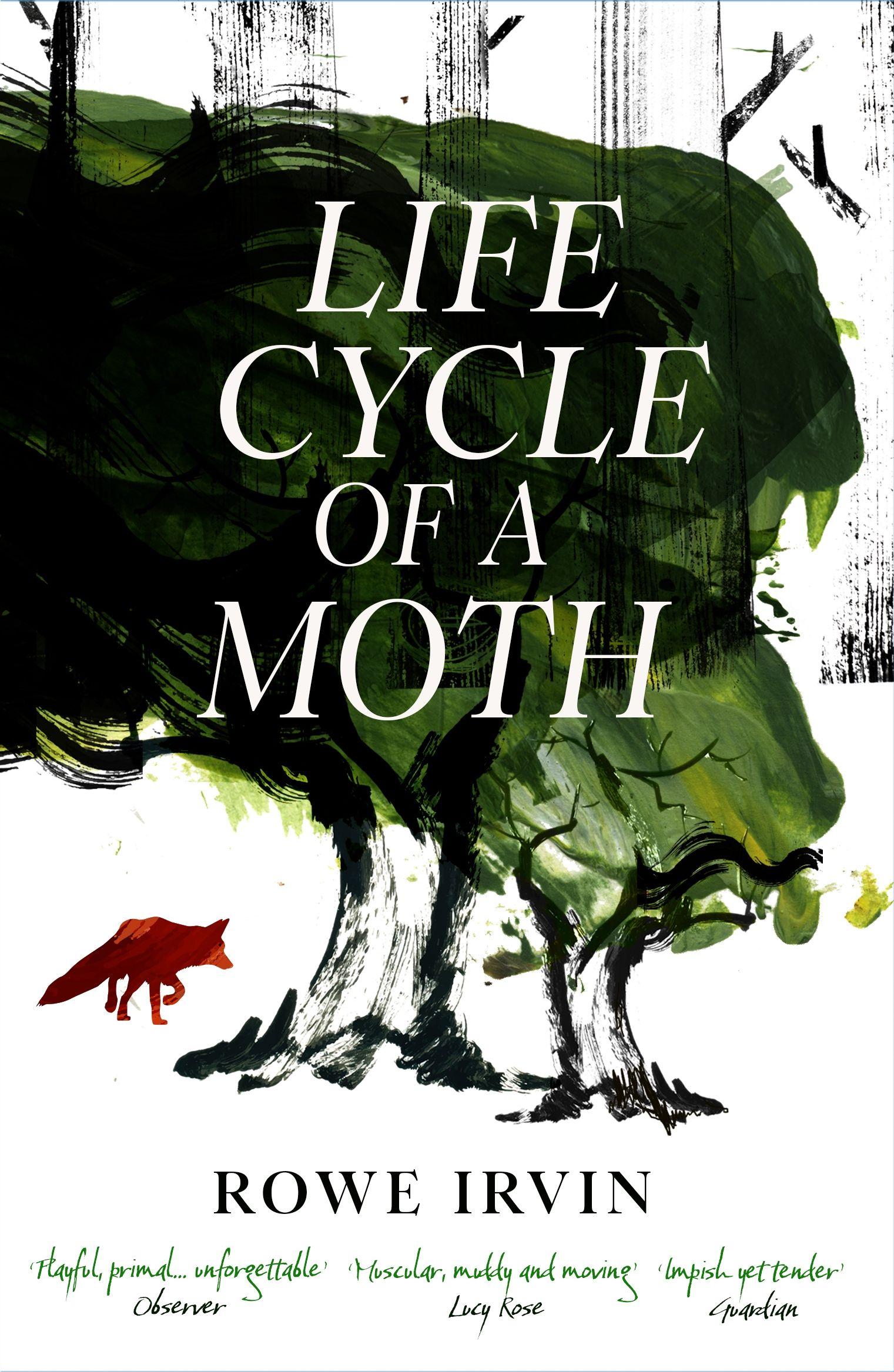 Vorderes Coverbild Life Cycle of a Moth