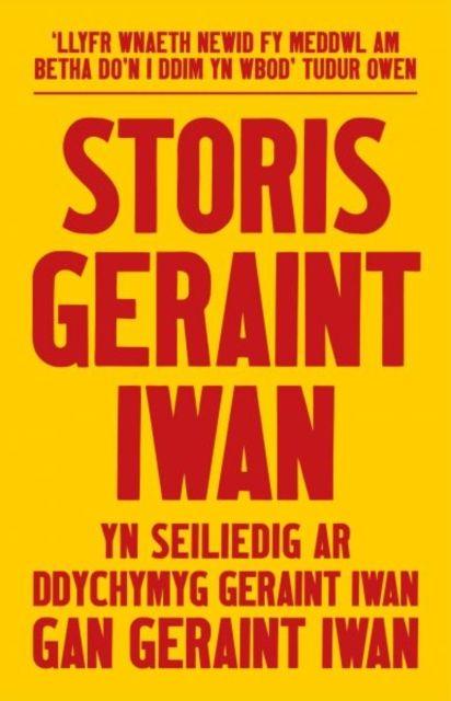 Vorderes Coverbild Storis Geraint Iwan