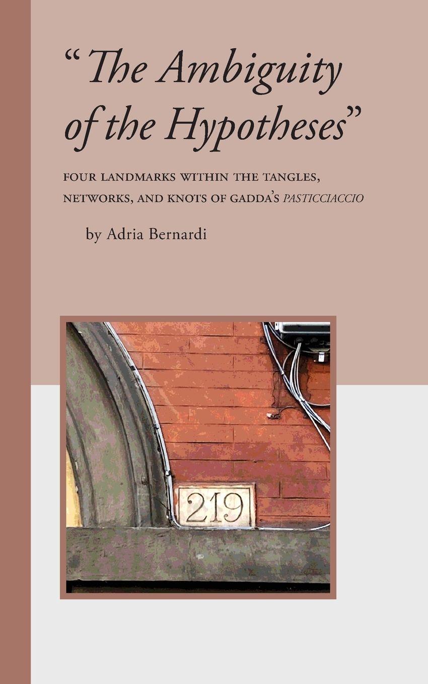 Vorderes Coverbild "The Ambiguity of the Hypotheses"