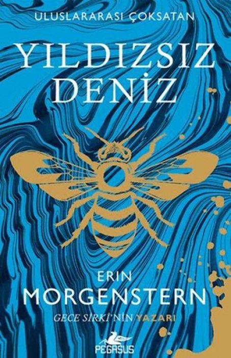 Vorderes Coverbild Yildizsiz Deniz