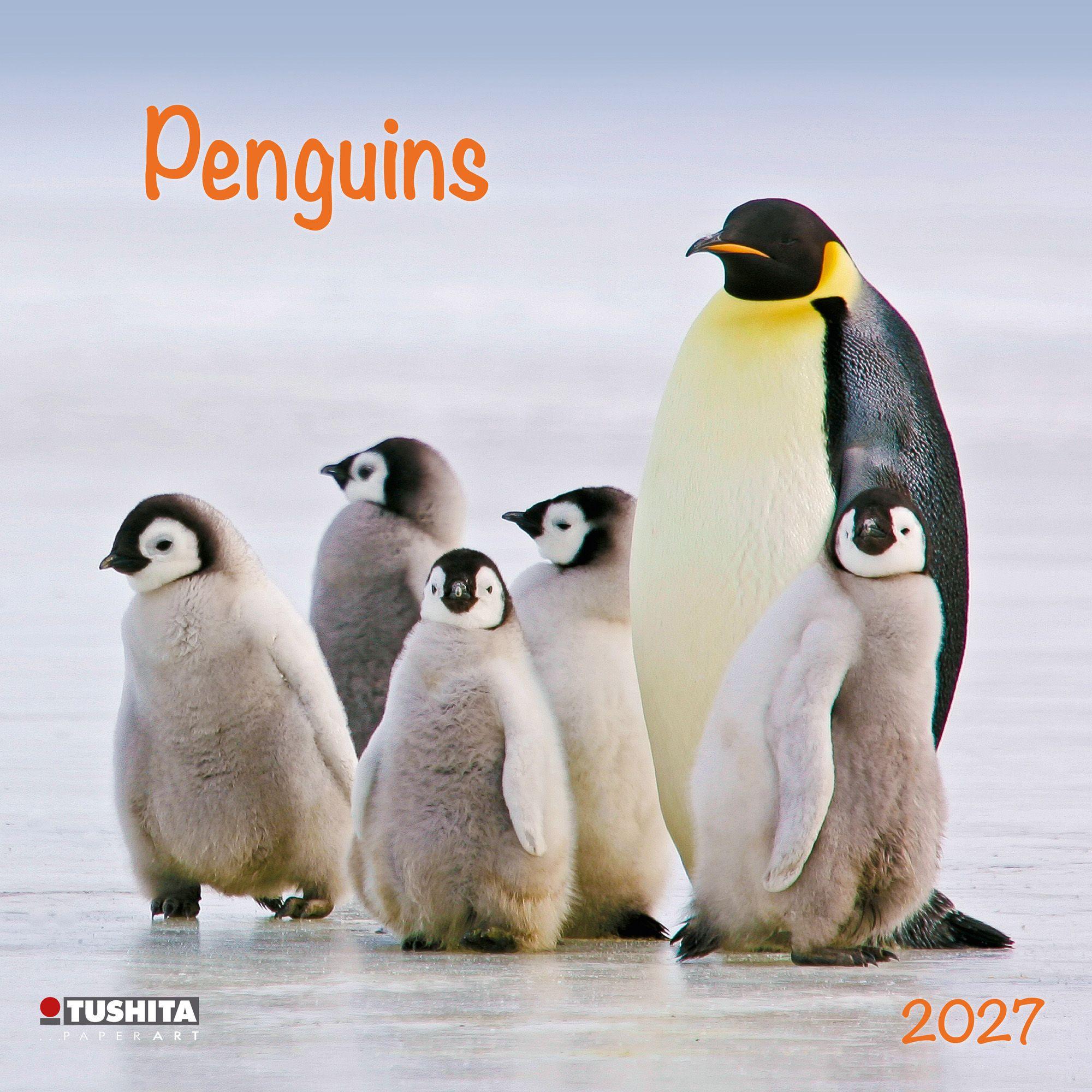 Vorderes Coverbild Penguins 2027