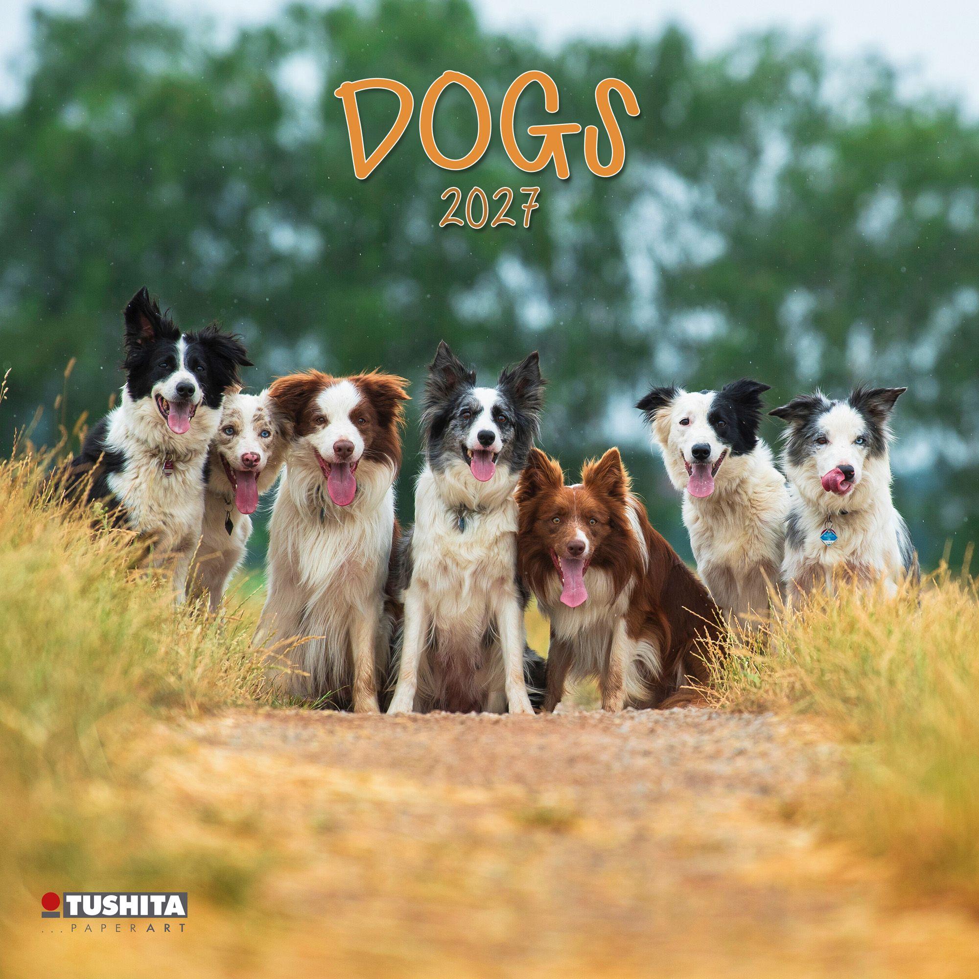 Vorderes Coverbild Dogs 2027