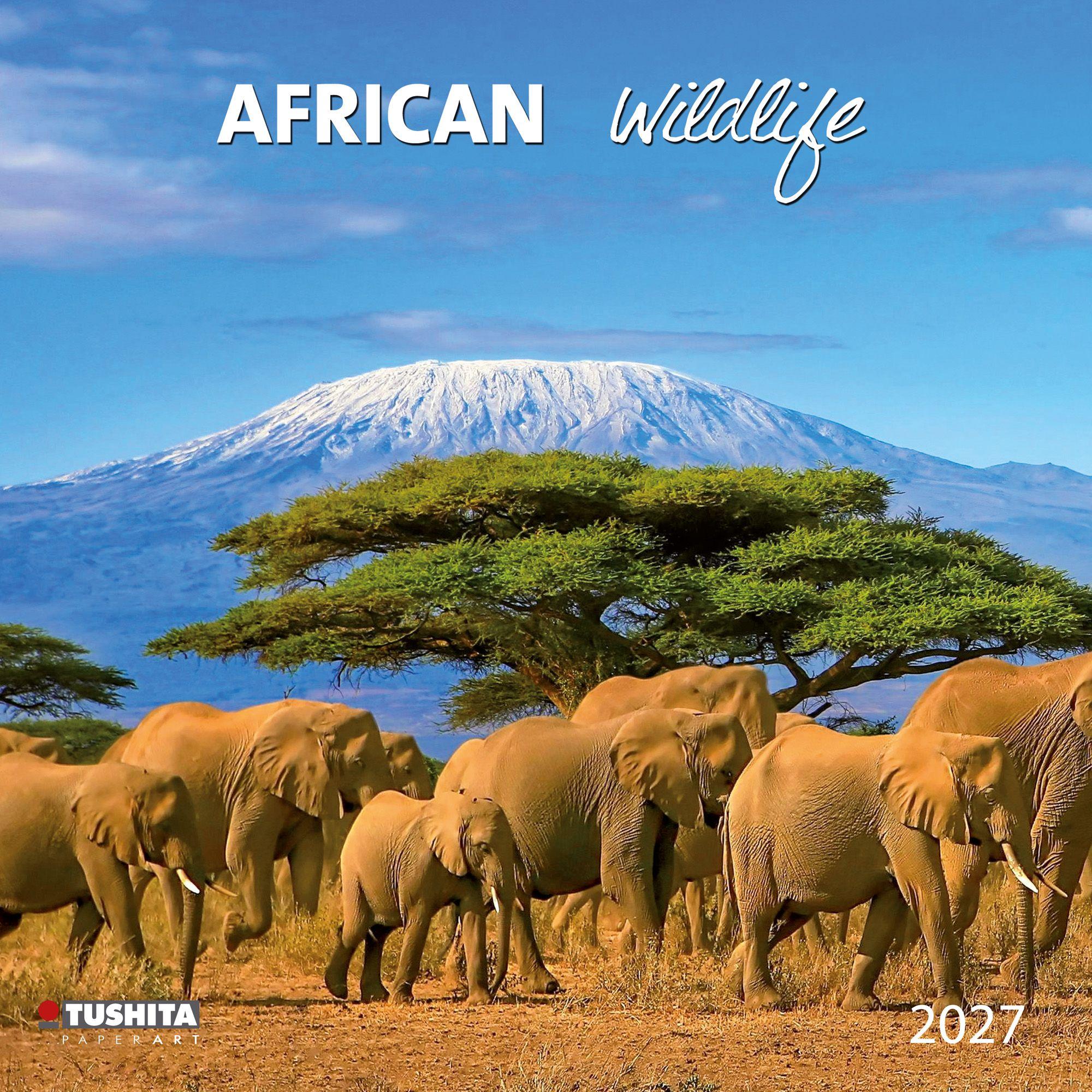 Vorderes Coverbild African Wildlife 2027