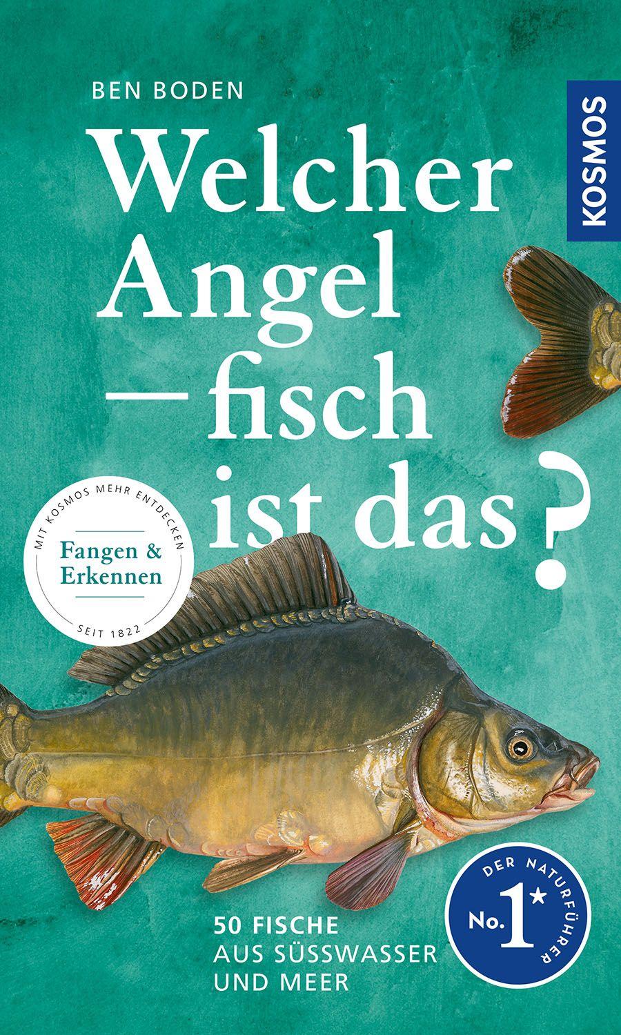 Vorderes Coverbild Welcher Angelfisch ist das?