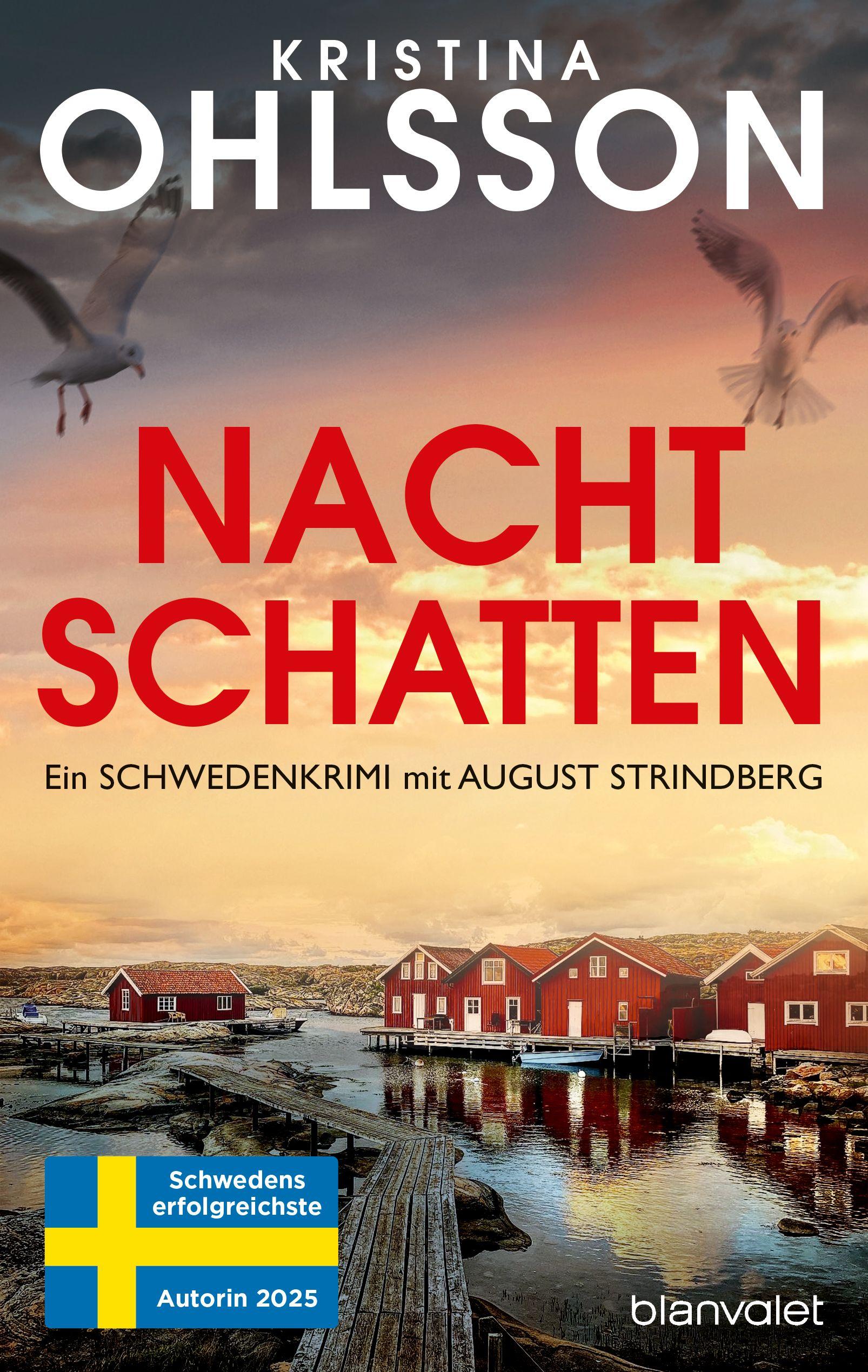 Vorderes Coverbild Nachtschatten