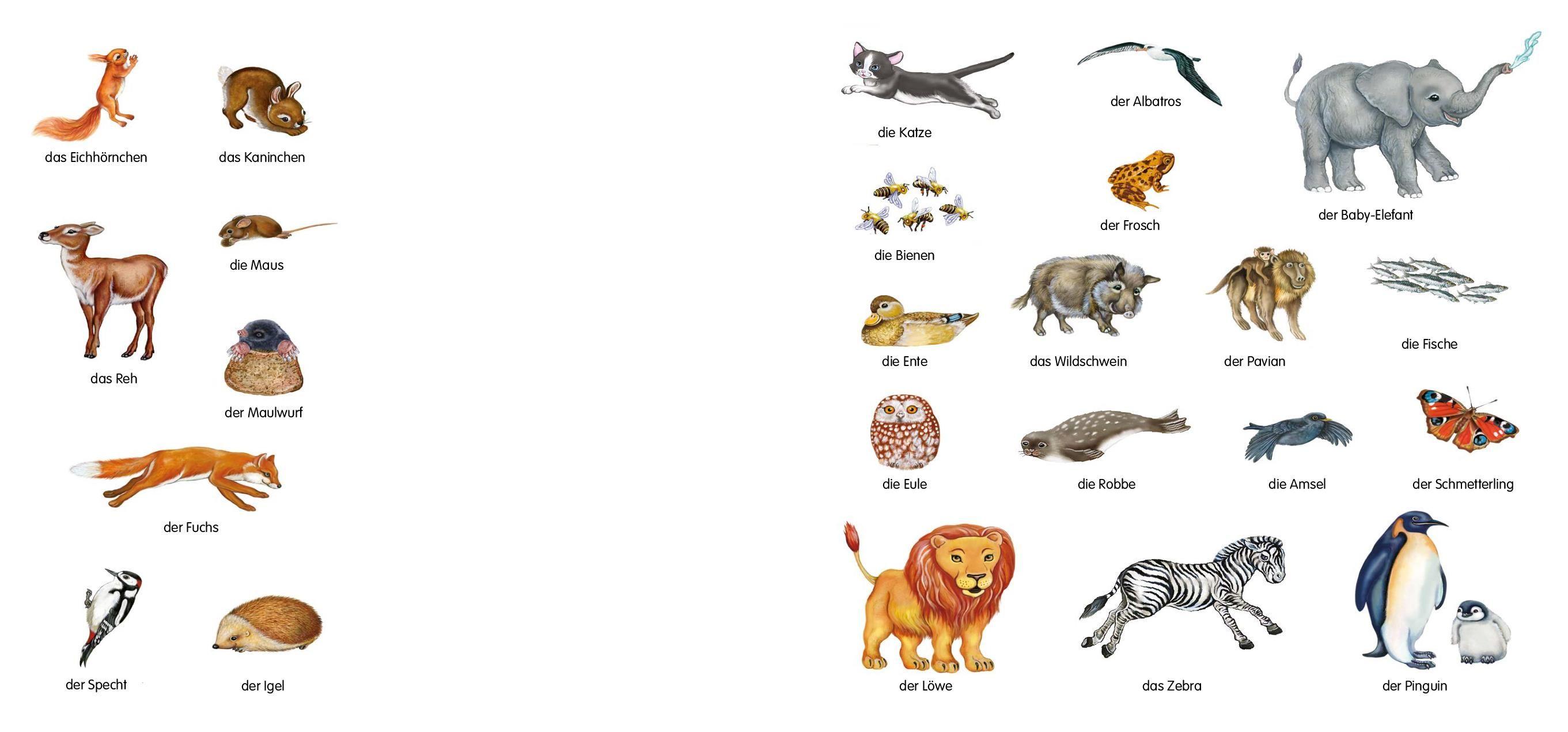 Beispielinhalt (Bild) Magnetbuch Die Tiere - mit 24 Magneten