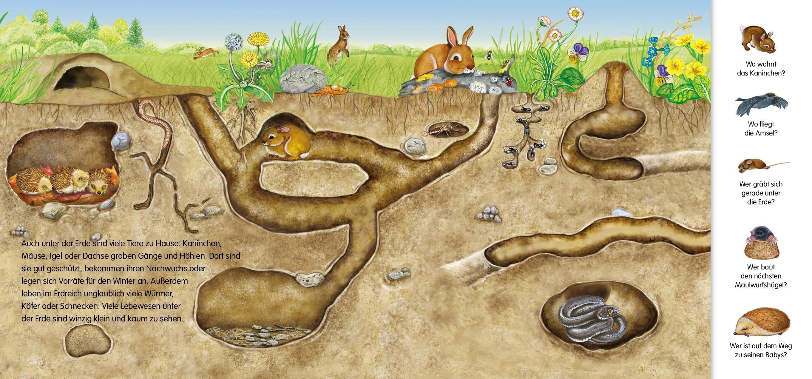 Beispielinhalt (Bild) Magnetbuch Die Tiere - mit 24 Magneten