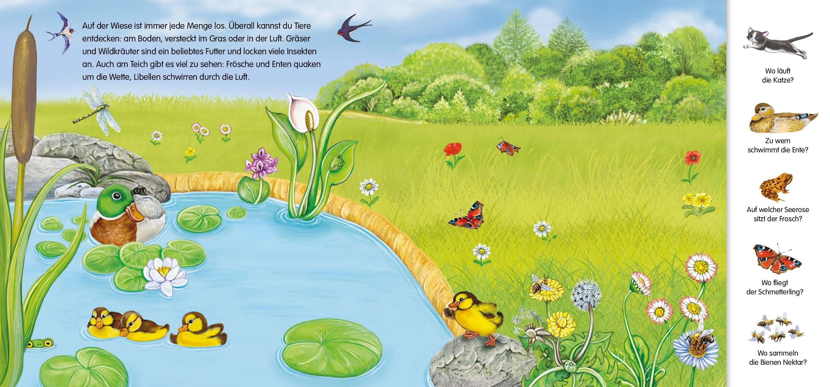 Beispielinhalt (Bild) Magnetbuch Die Tiere - mit 24 Magneten