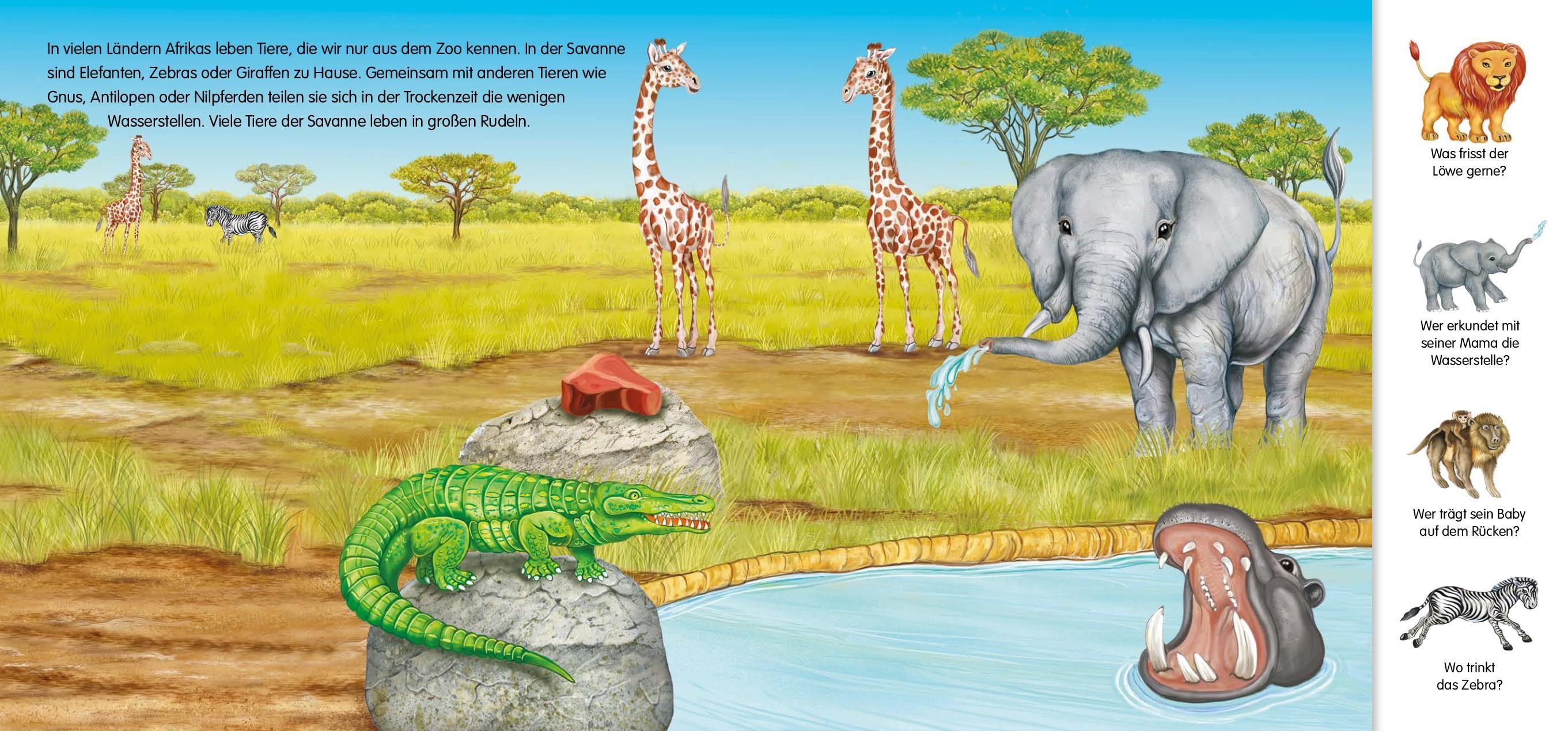 Beispielinhalt (Bild) Magnetbuch Die Tiere - mit 24 Magneten