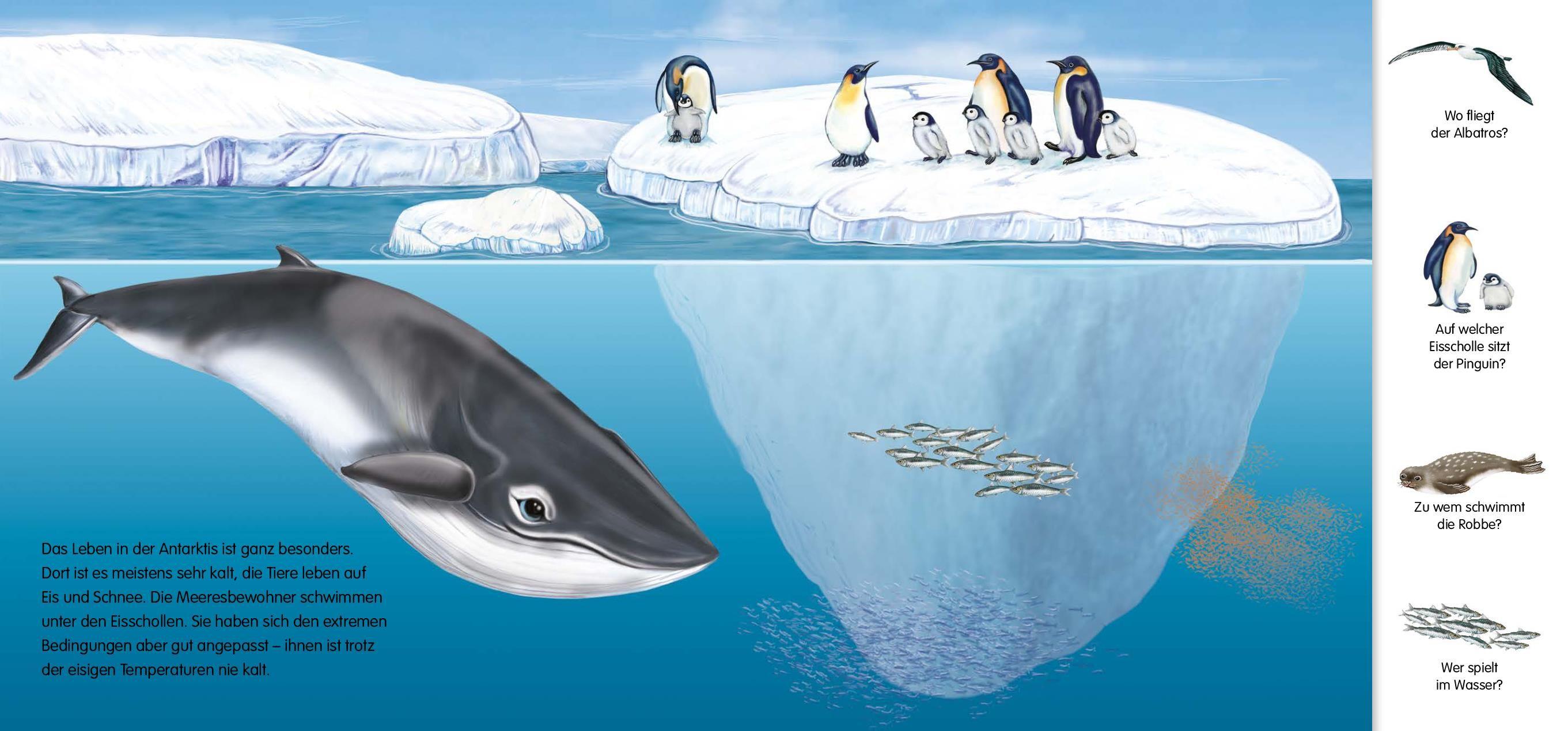 Beispielinhalt (Bild) Magnetbuch Die Tiere - mit 24 Magneten