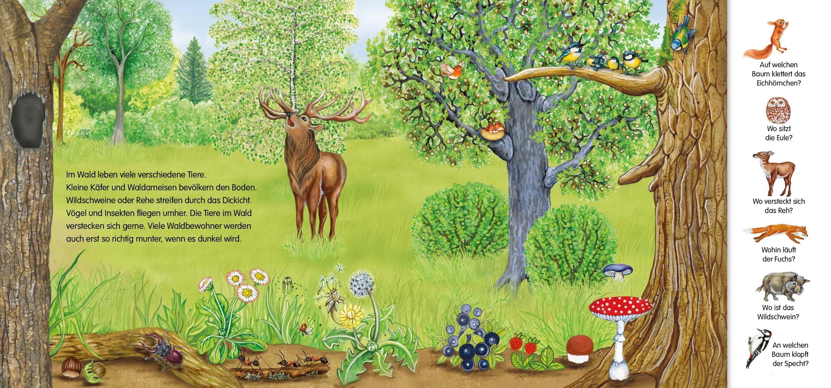 Beispielinhalt (Bild) Magnetbuch Die Tiere - mit 24 Magneten