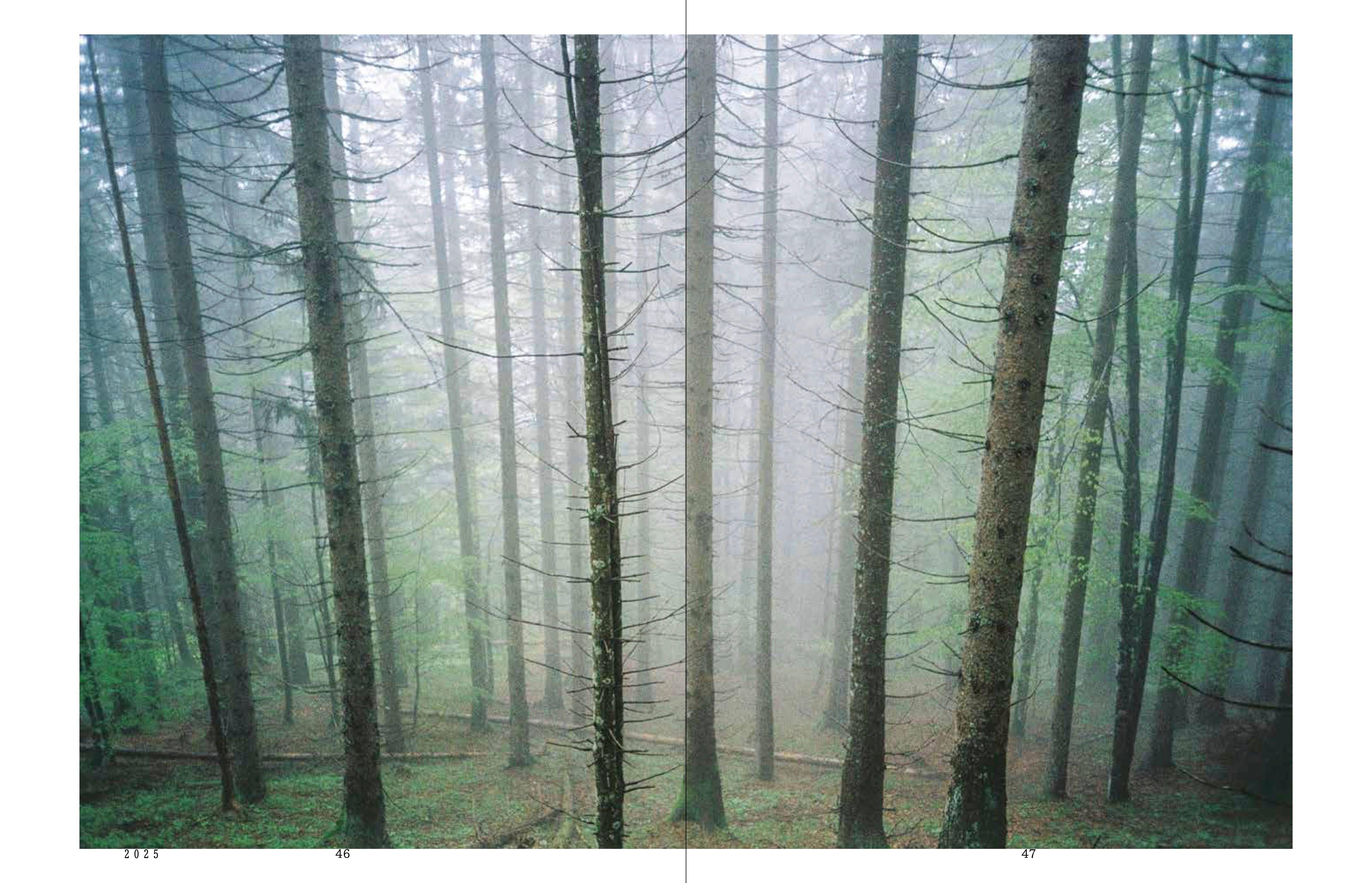 Beispielinhalt (Bild) Salzkammergut SELECTED II