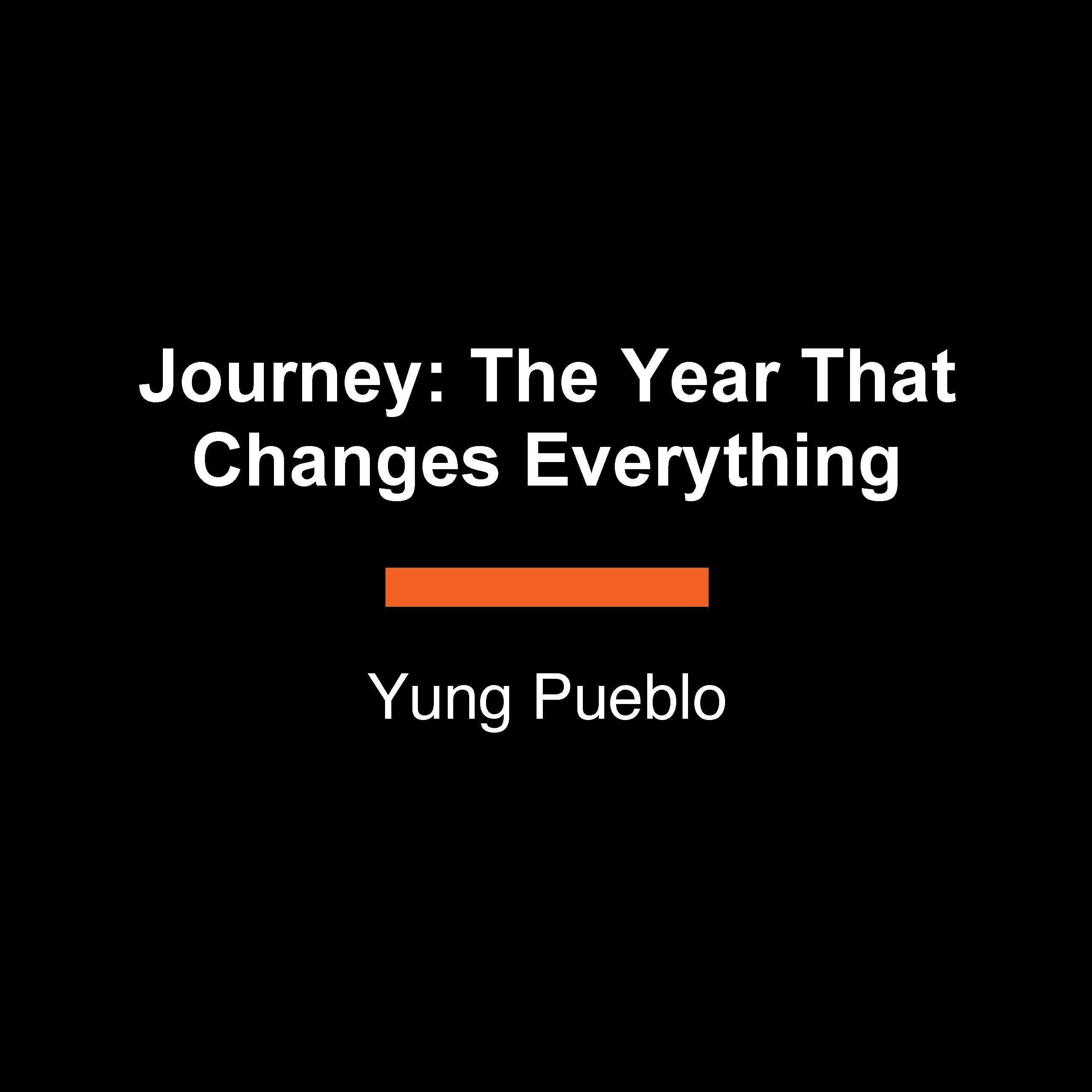 Vorderes Coverbild Journey: The Year That Changes Everything
