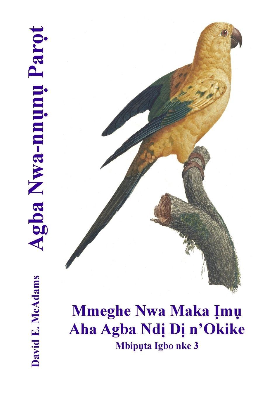 Vorderes Coverbild Agba Nwa-nn¿n¿ Par¿t