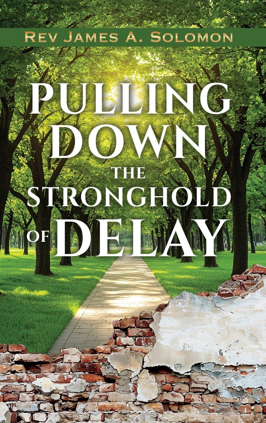 Vorderes Coverbild PULLING DOWN the STRONGHOLD of DELAY