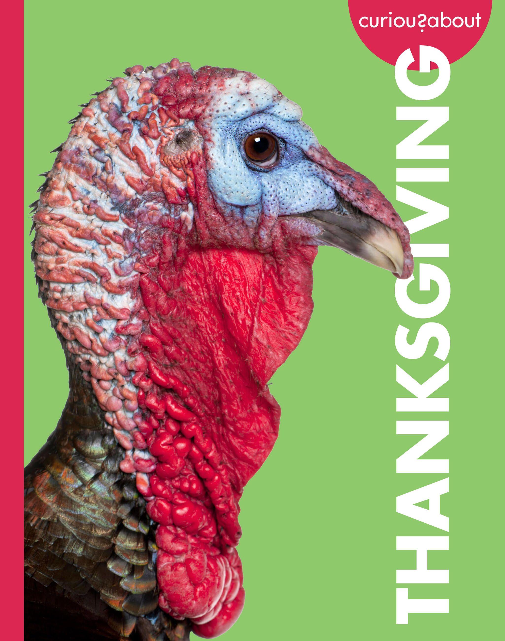 Vorderes Coverbild Curious about Thanksgiving