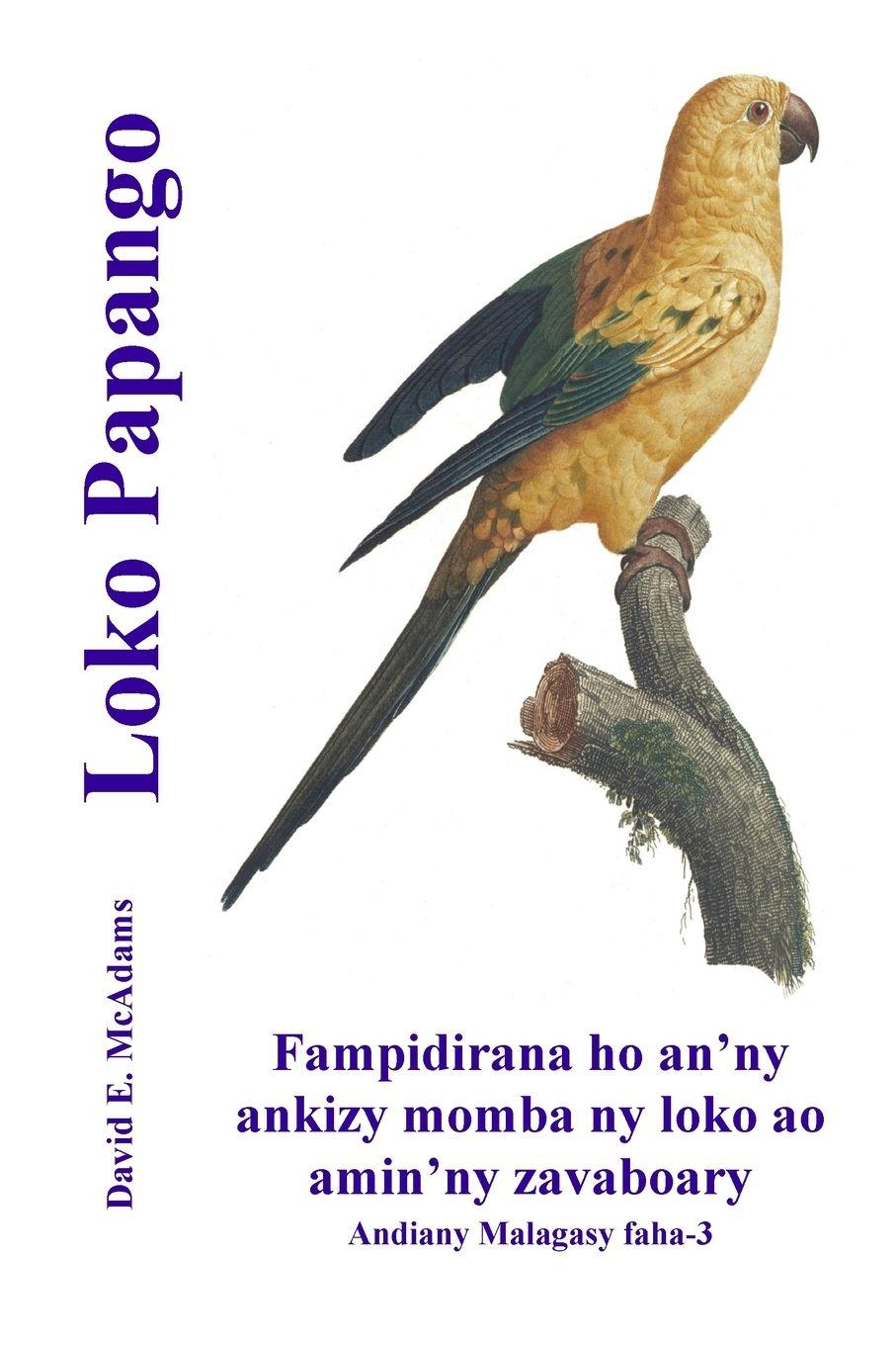 Vorderes Coverbild Loko Papango